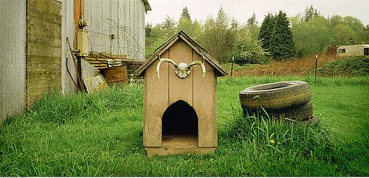 《如龙8》Steam预加载开启 下载大小约60GB